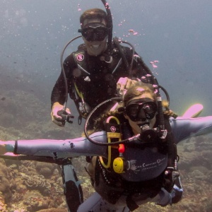 Diving Indonesia