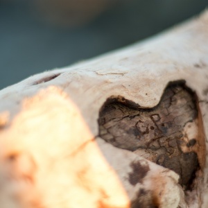 #4_end_left our mark