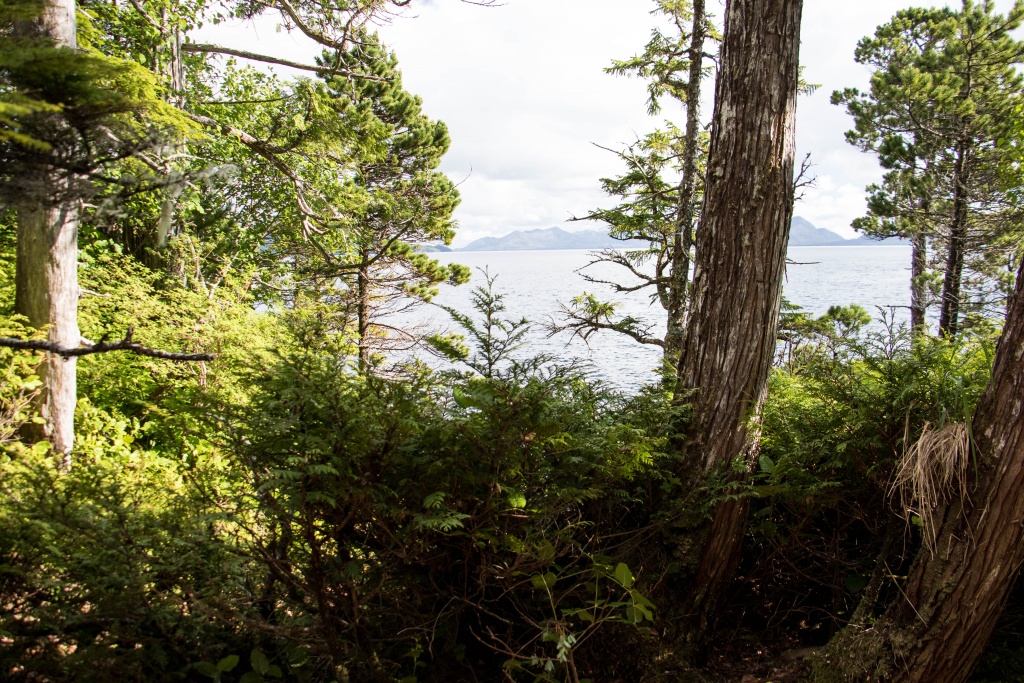outhouse_view