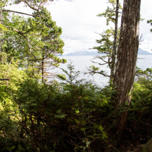 outhouse_view