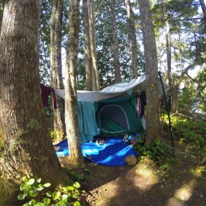 Tent northern BC