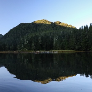 gallery_gbr