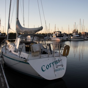 gallery_sailing