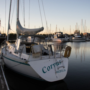 gallery_sailing