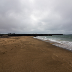 Golden sands beach