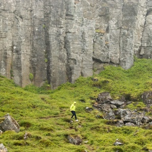 Rainy basalt columns