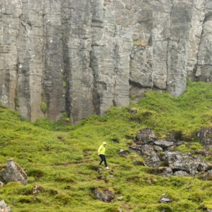 Rainy basalt columns