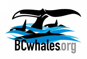 BC Whales logo