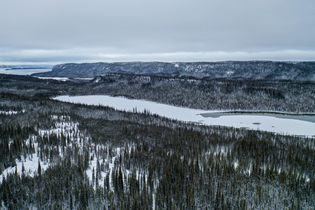 Drone view of a lake and trees